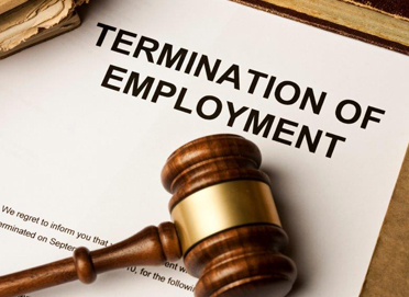 Workplace and Employment